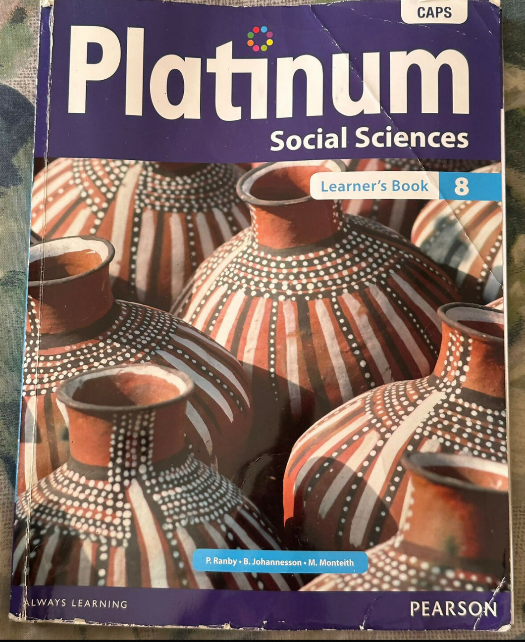 Platinum social science grade 8