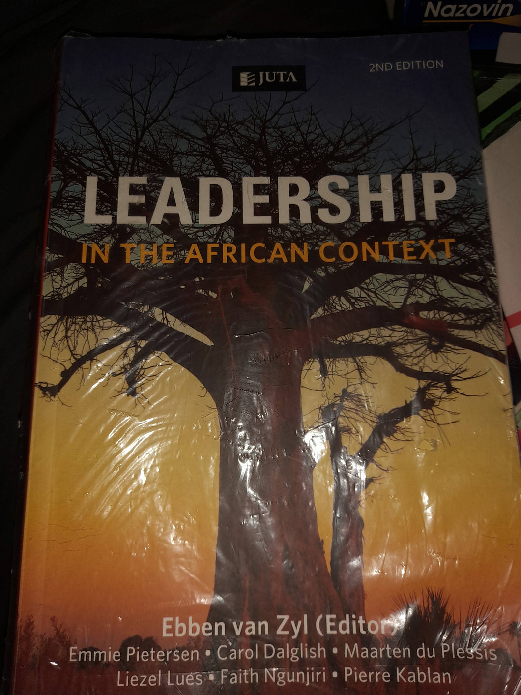 Leadership in the African Context