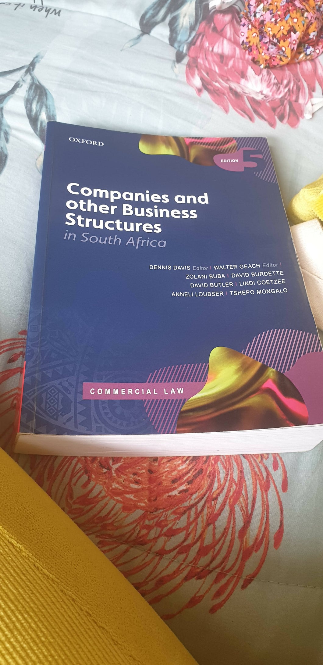 Companies and other business structures in south Africa