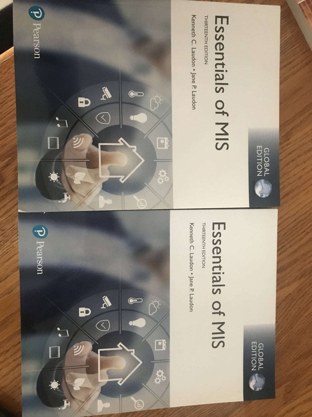 Essentials of MIS 13th edition