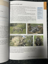 Load image into Gallery viewer, Oxford successfull natural science and technology learners book
