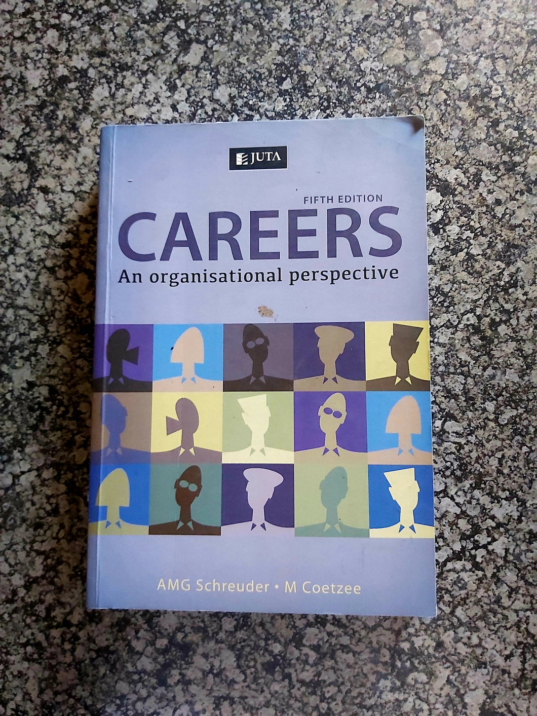 Careers an organizational perspective