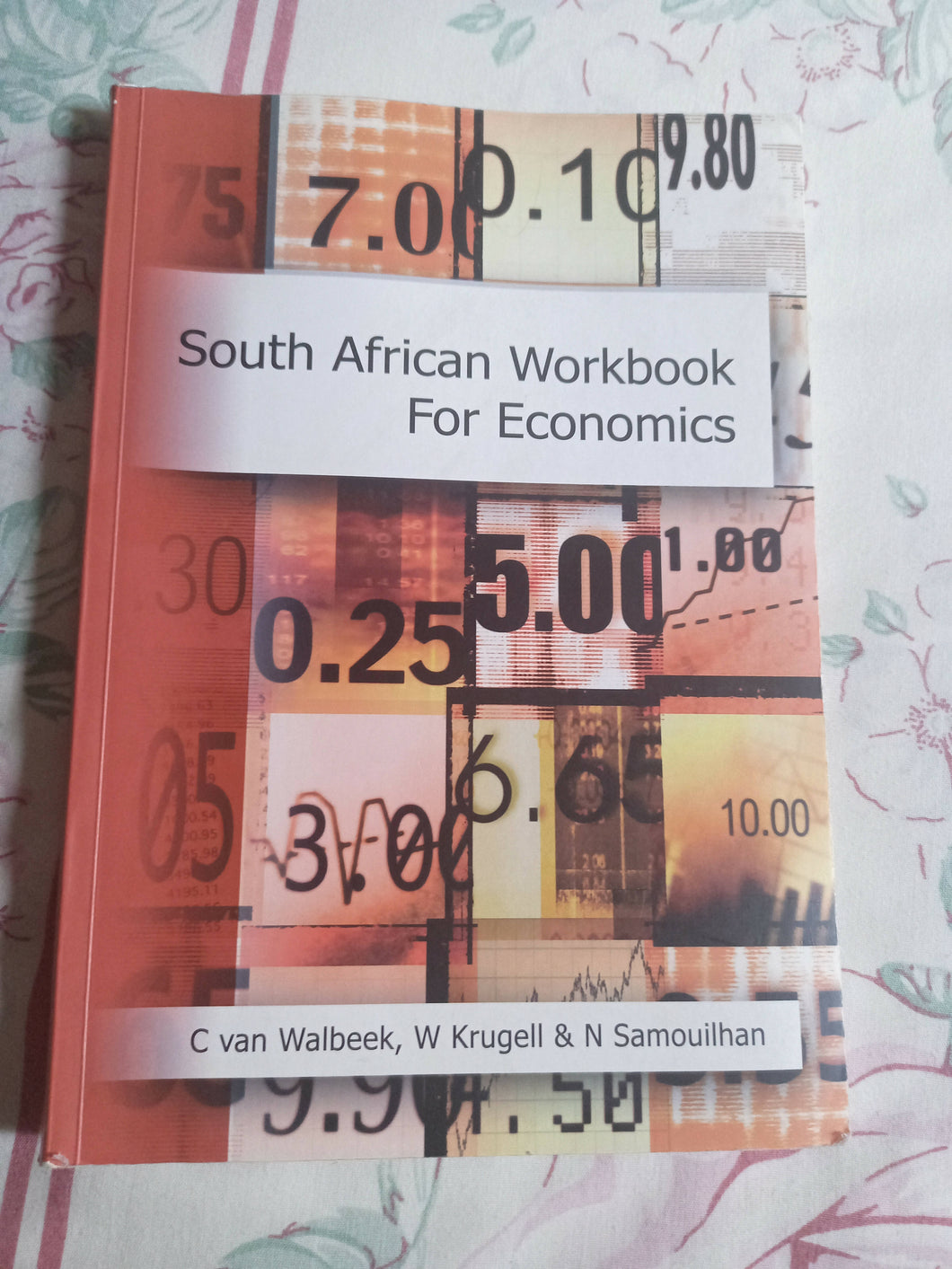 South African workbook for economics