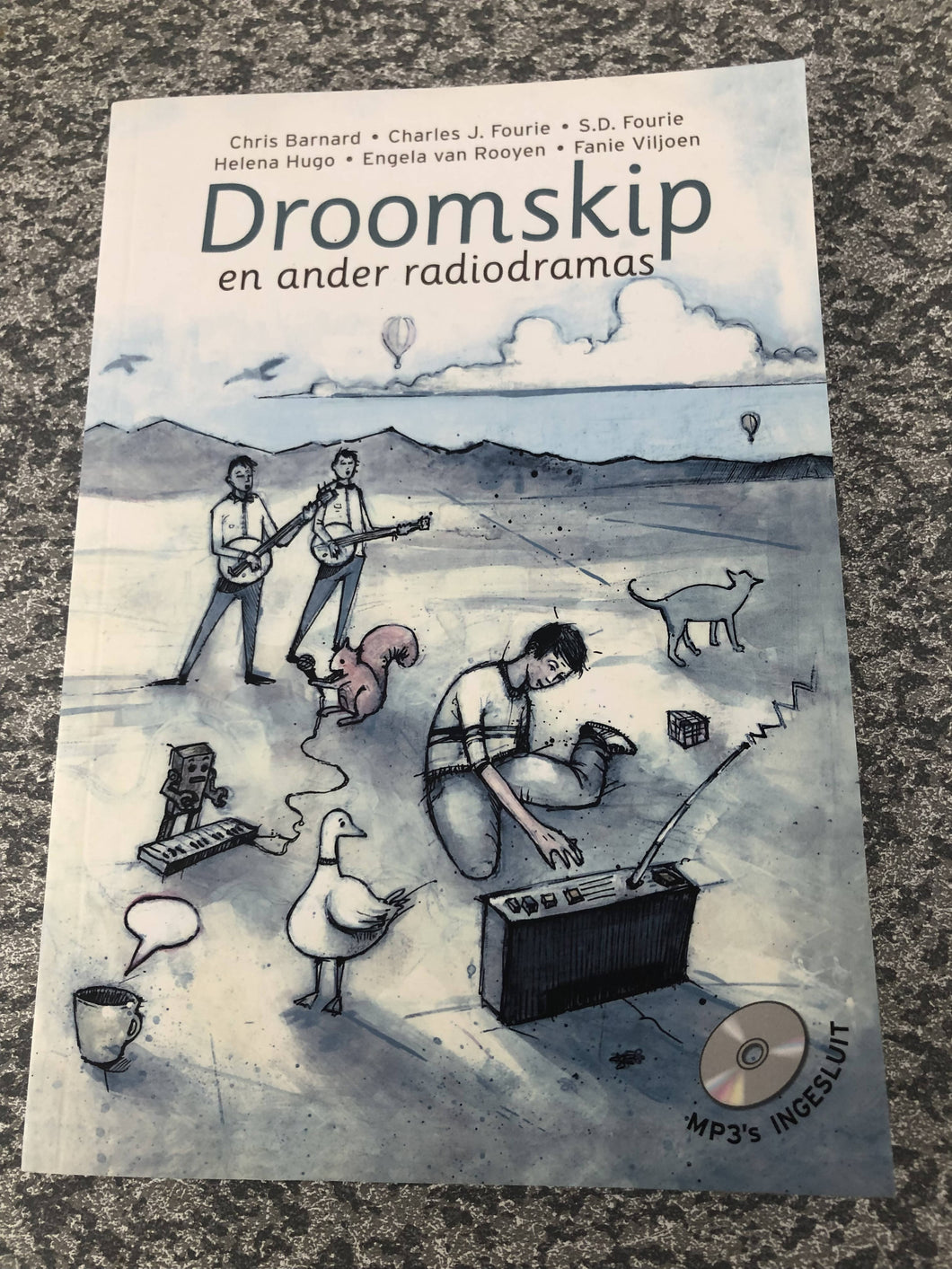 Droomskip