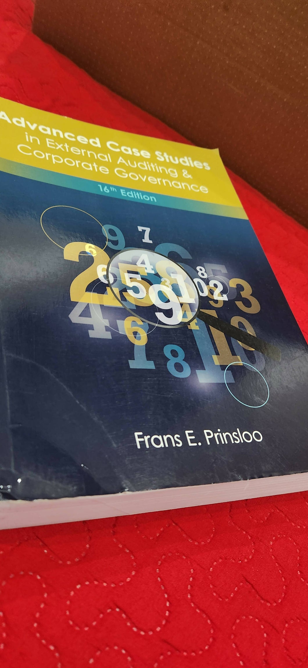 Advanced Case Studies in External Auditing and Corporate Governance