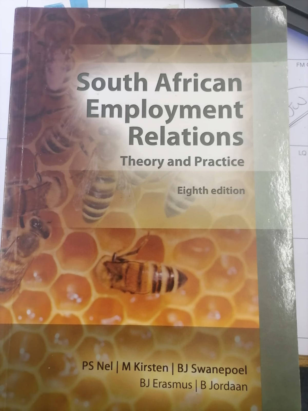 South African Employment Relations, Theory and Practice