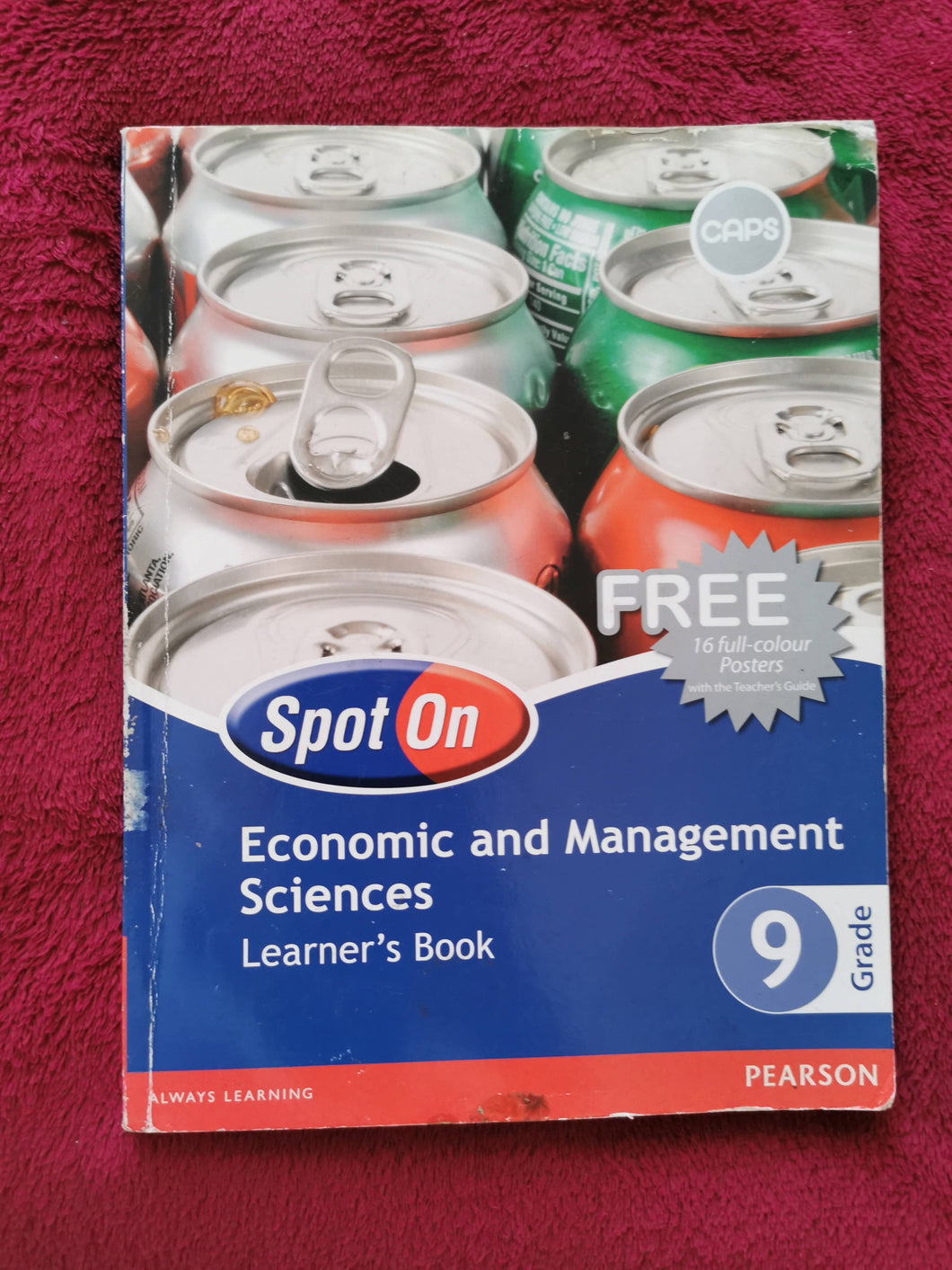 SpotOn economic and Management Science Learner's book