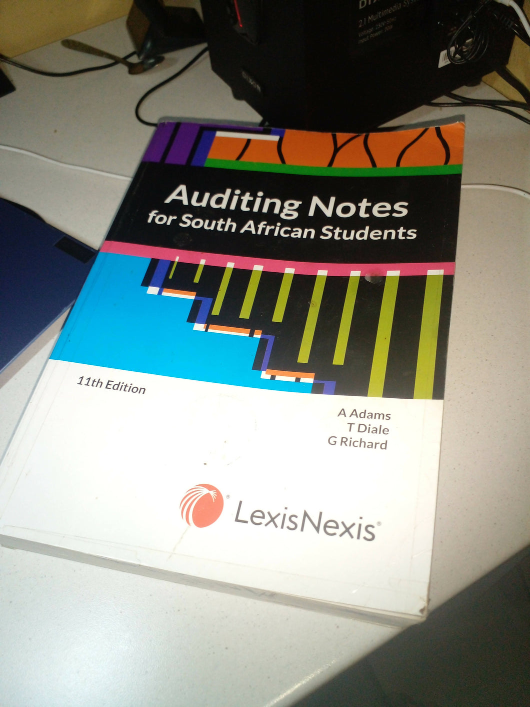 Auditing notes for south African students