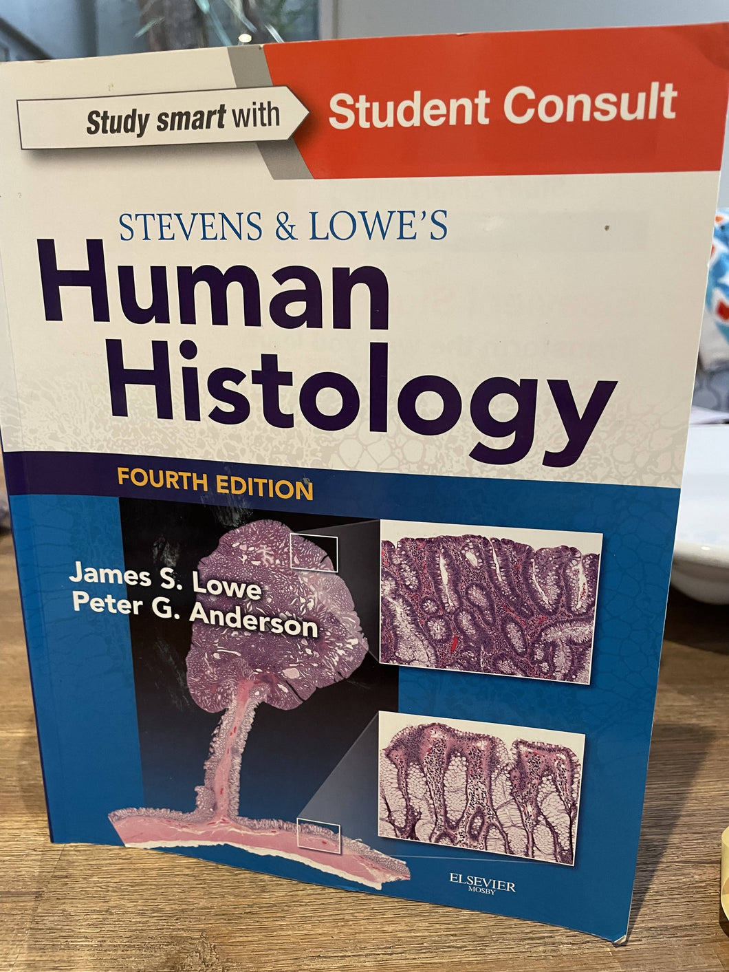 Stevens & Lowe's Human Histology