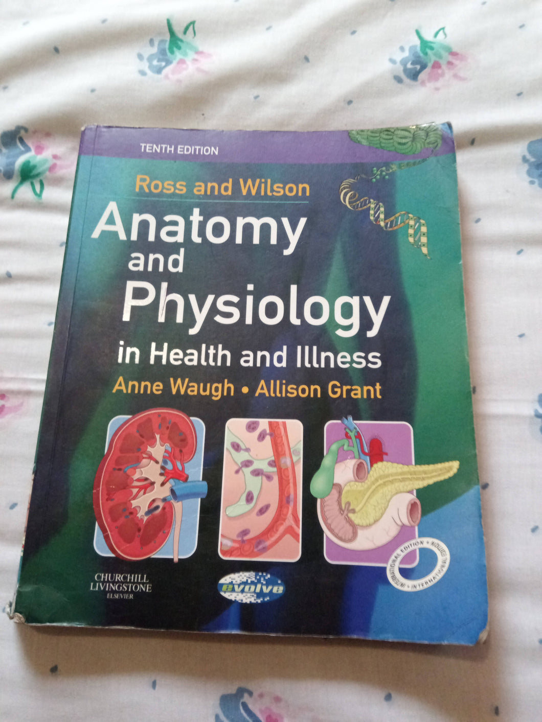 Anatomy and Physiology in Health and Illness