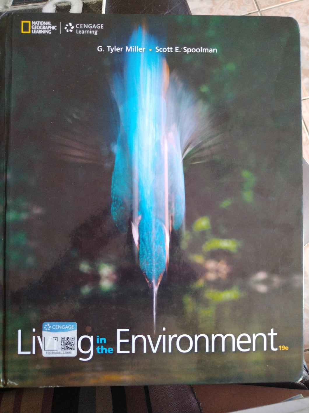 Living in the Environment