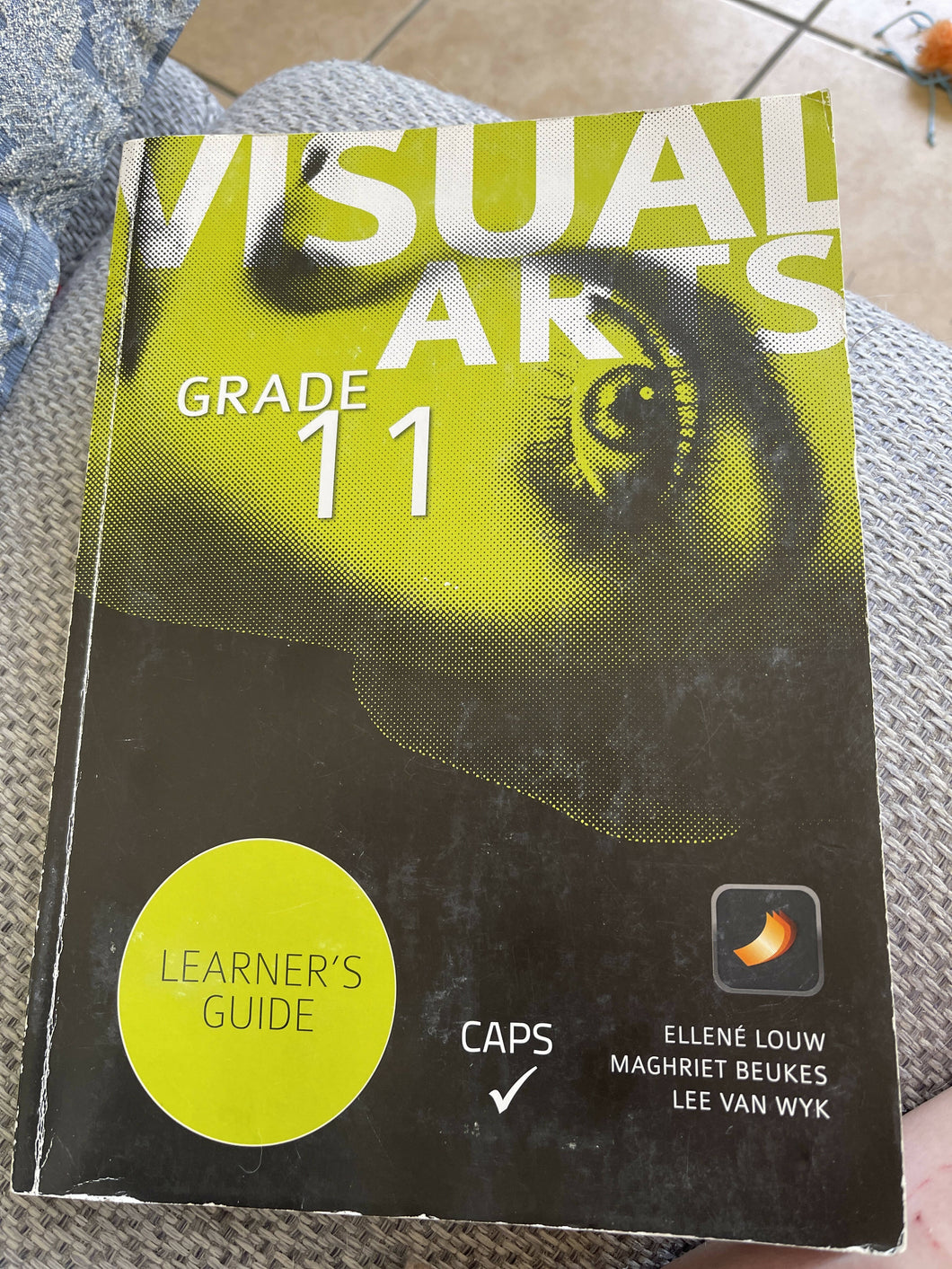 Visual arts grade 11 learner’s guide CAPS